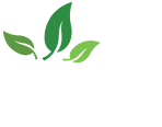 Happsa Group Services