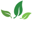 Happsa Group Services